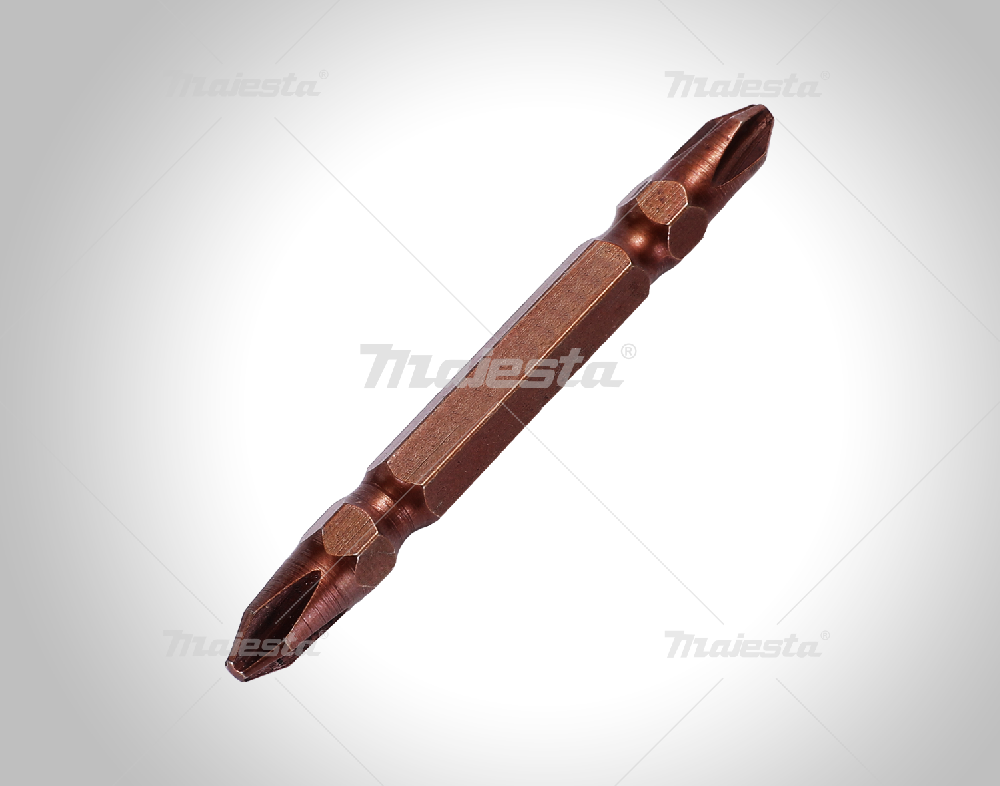 10PCS SCREWDRIVER BITS SET